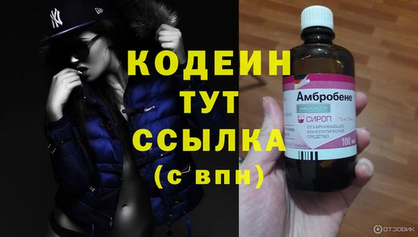 apvp Верея