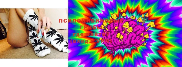 мяу мяу кристалл Богданович